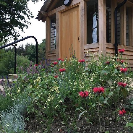 South Downs Eco Lodge & Camping East Meon Екстериор снимка