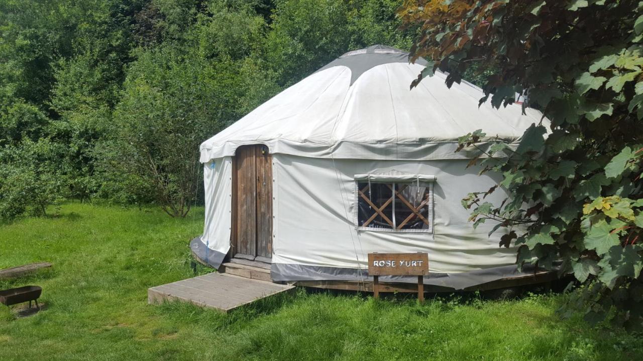 South Downs Eco Lodge & Camping East Meon Екстериор снимка