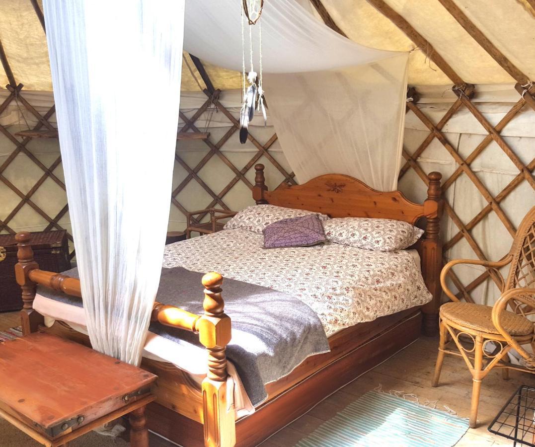 South Downs Eco Lodge & Camping East Meon Екстериор снимка