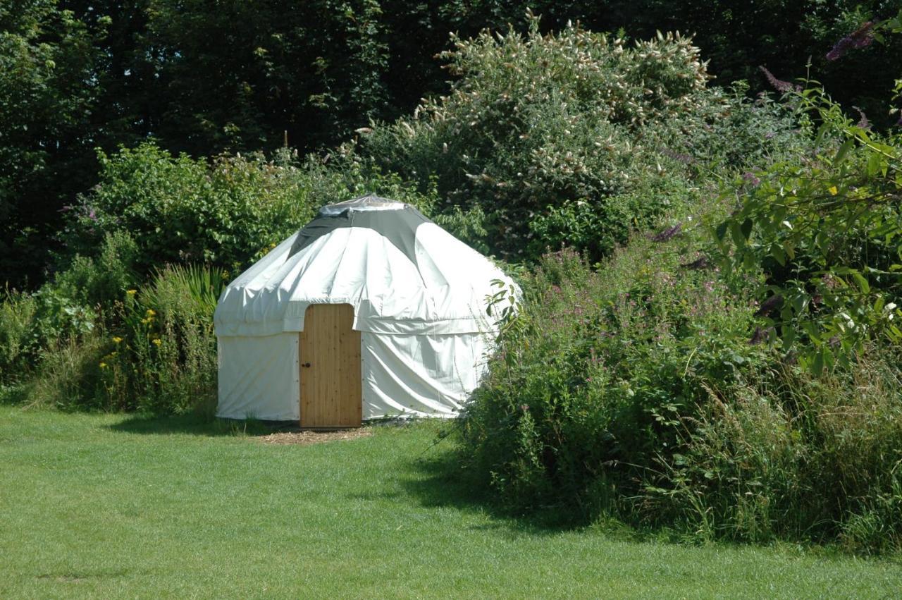 South Downs Eco Lodge & Camping East Meon Екстериор снимка
