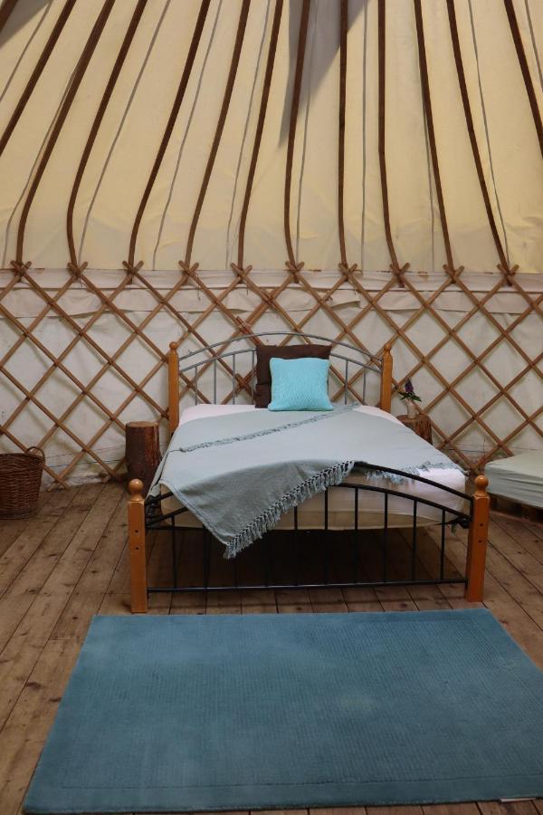South Downs Eco Lodge & Camping East Meon Екстериор снимка