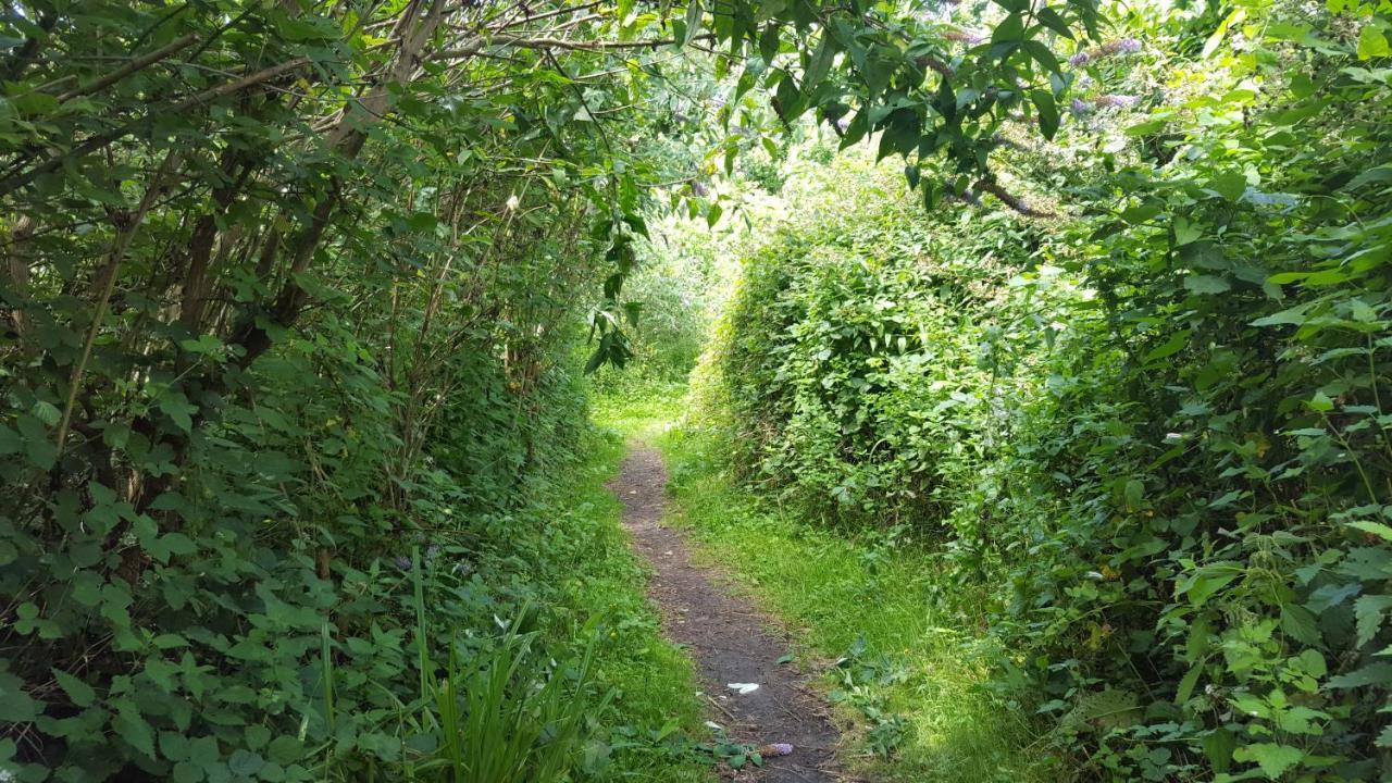 South Downs Eco Lodge & Camping East Meon Екстериор снимка