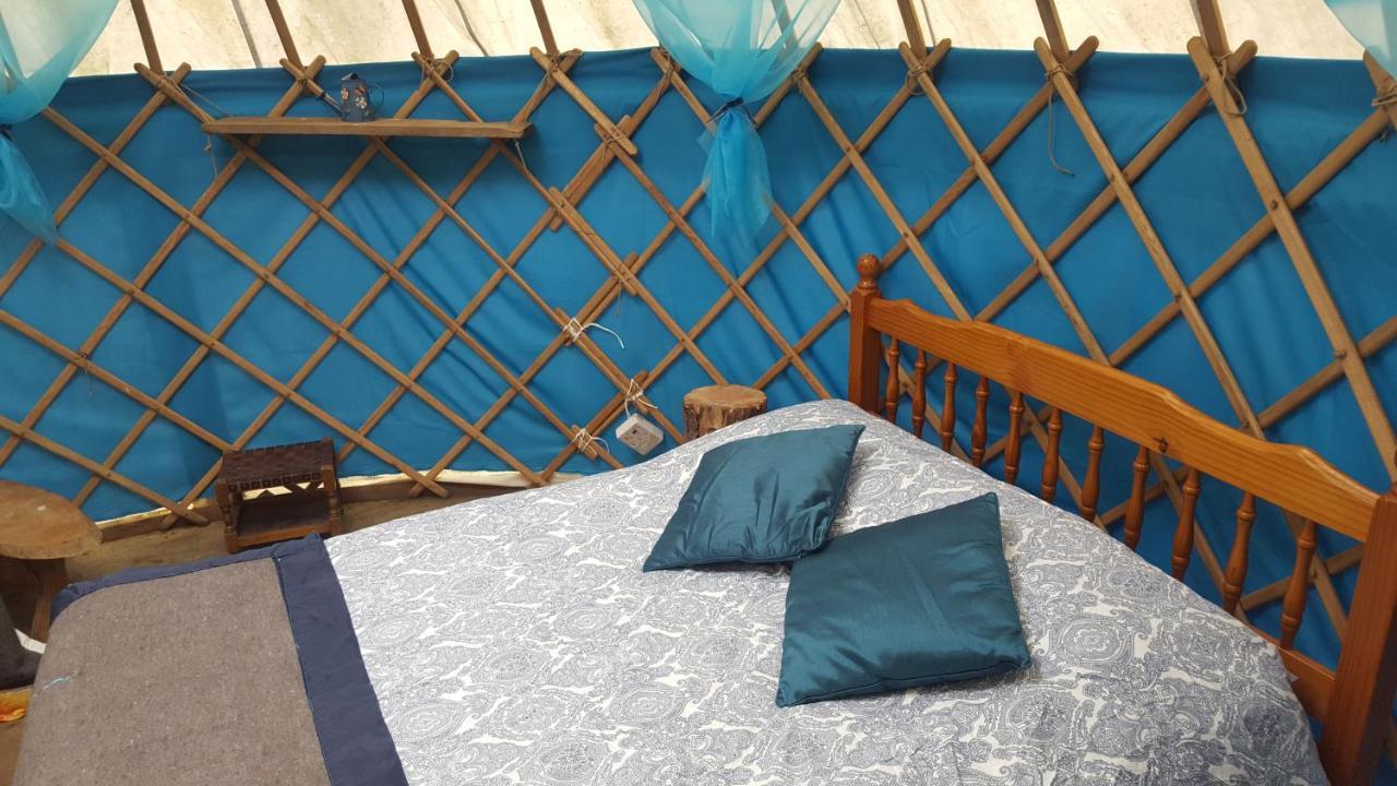 South Downs Eco Lodge & Camping East Meon Екстериор снимка