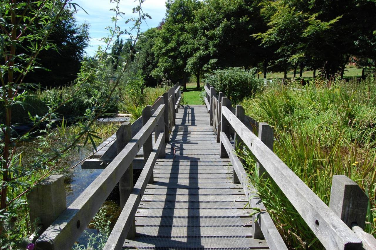 South Downs Eco Lodge & Camping East Meon Екстериор снимка