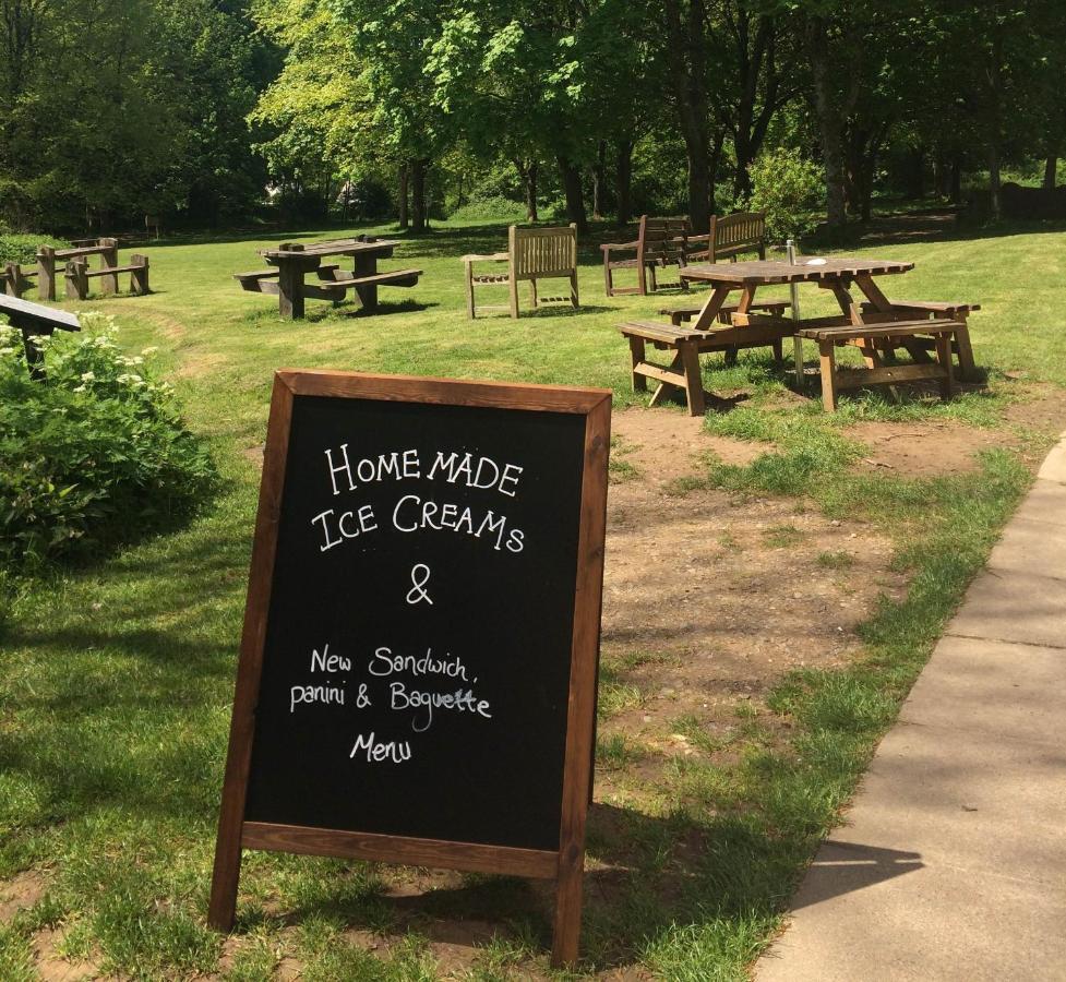 South Downs Eco Lodge & Camping East Meon Екстериор снимка