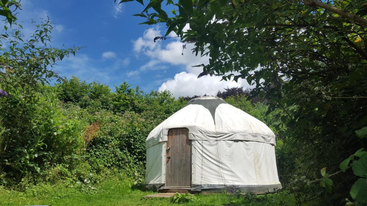 South Downs Eco Lodge & Camping East Meon Екстериор снимка