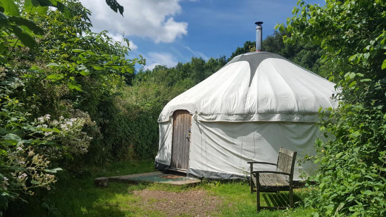 South Downs Eco Lodge & Camping East Meon Екстериор снимка