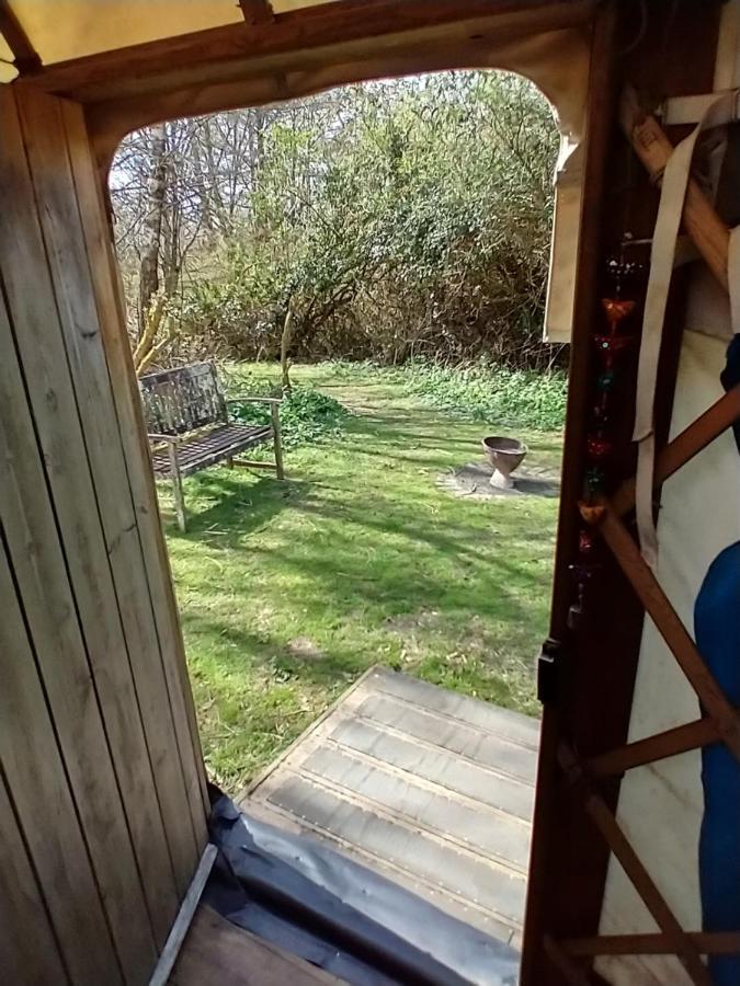 South Downs Eco Lodge & Camping East Meon Екстериор снимка
