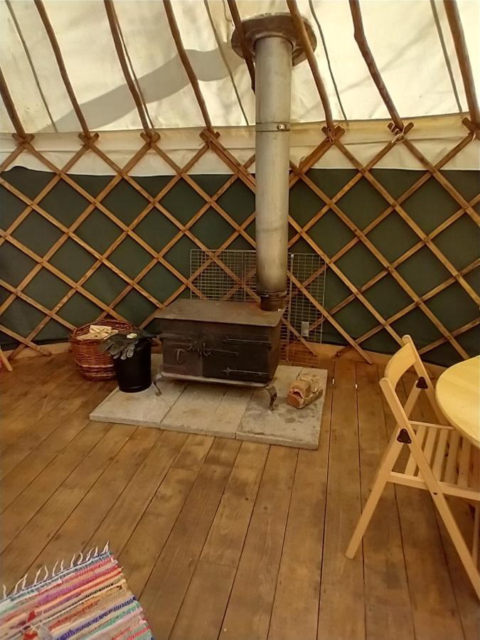 South Downs Eco Lodge & Camping East Meon Екстериор снимка