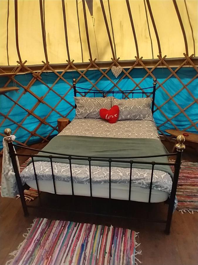 South Downs Eco Lodge & Camping East Meon Екстериор снимка